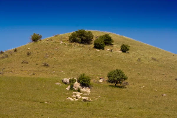 Ιστορικό — Φωτογραφία Αρχείου