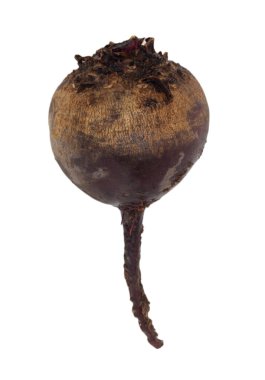 pancar beyaz arka plan görüntüsü