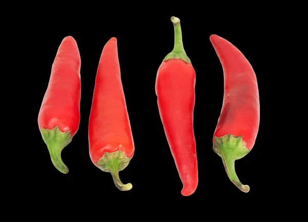 Four red chilly peppers isolated on white background — Stock Photo, Image