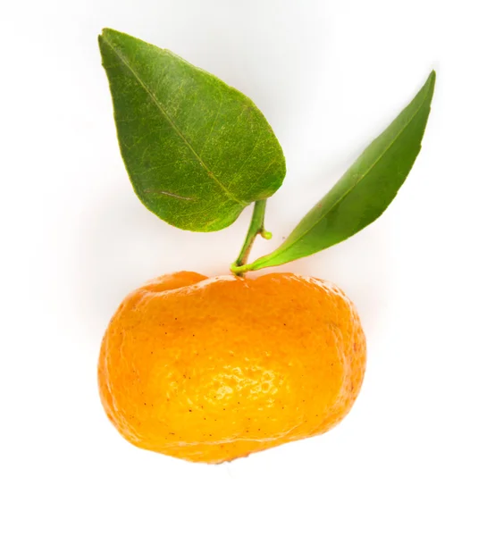Mandarino maturo con foglia verde isolata su fondo bianco — Foto Stock