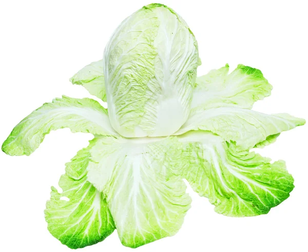 Chinese cabbage on white background — Stock Photo, Image