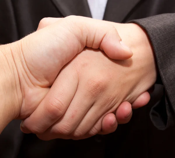 Two businessman shaking hands — Stock Photo, Image
