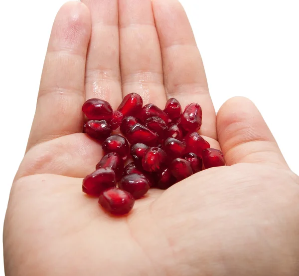 Red pomegranate in his hand — Stock Photo, Image