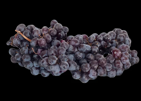 Grappe de raisins noirs — Photo