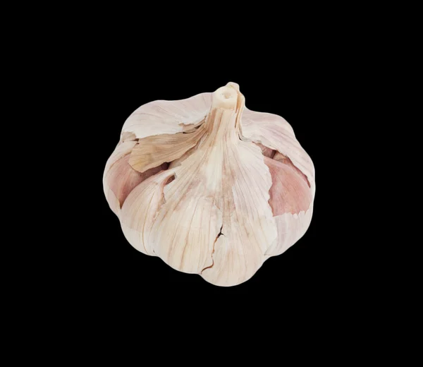 Head of the garlic on black background — Stock Photo, Image