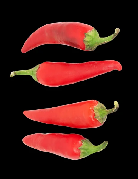 Four red chilly peppers isolated on white background — Stock Photo, Image