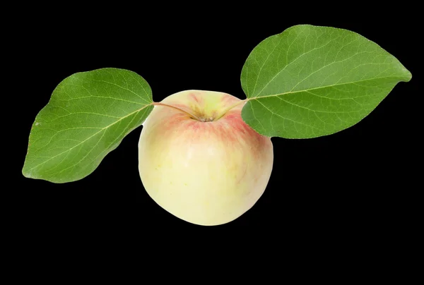 Pomme avec feuille sur fond noir — Photo