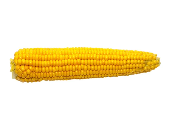 Smaczne kuchnia. świeżych kukurydzy na białym tle — Zdjęcie stockowe