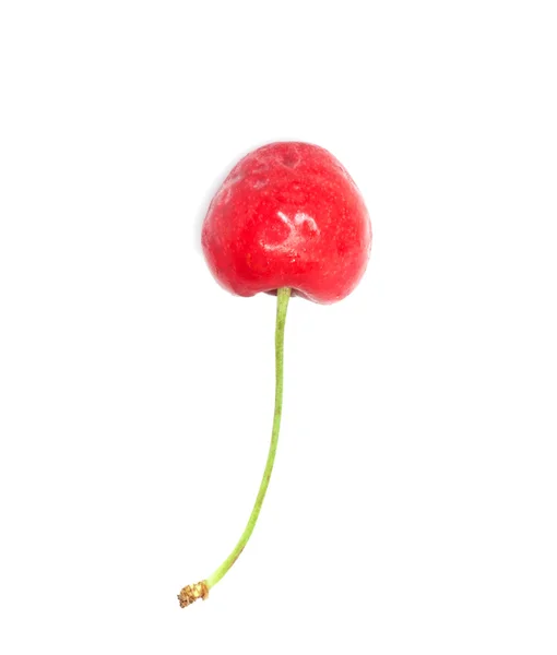 A ripe, juicy cherry — Stock Photo, Image