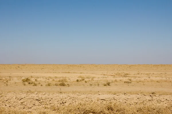 Bare steppe of Kazakhstan — Stock Photo, Image