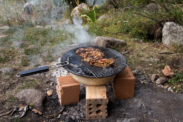 Barbecue outdoors — Stock Photo, Image