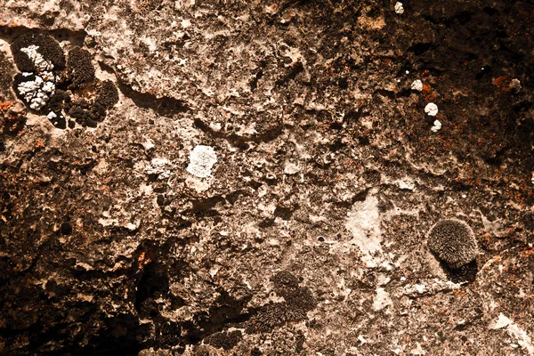 Горный камень с мхом на заднем плане — стоковое фото