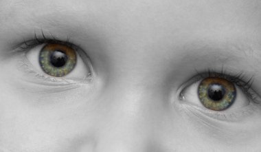 Çocuğun gözünden. makro