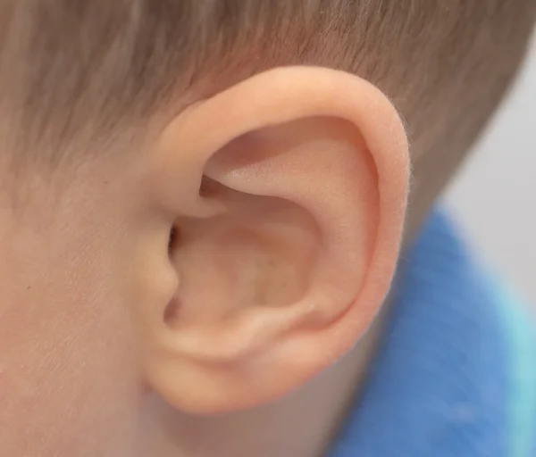 Oreja de niño. macro — Foto de Stock