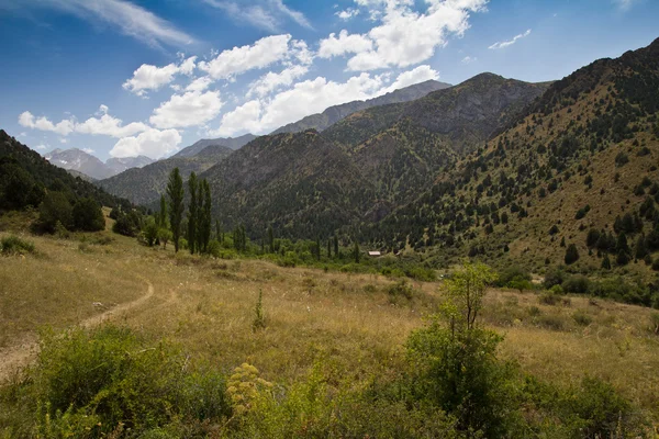 Doğa — Stok fotoğraf