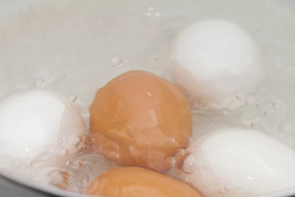 食べ物 — ストック写真