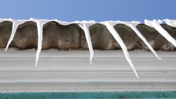 Τήξη icicles — Αρχείο Βίντεο