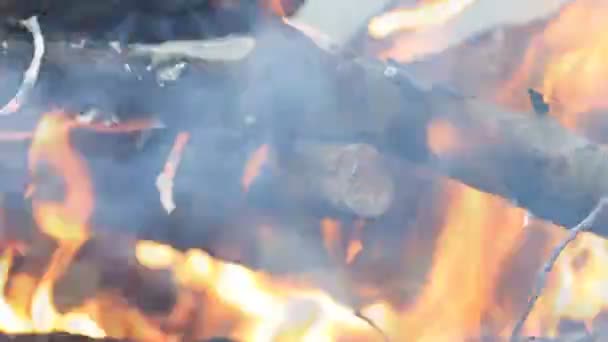 燃烧的木材。火的背景 — 图库视频影像