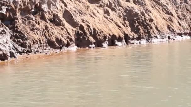 Вода в реке — стоковое видео