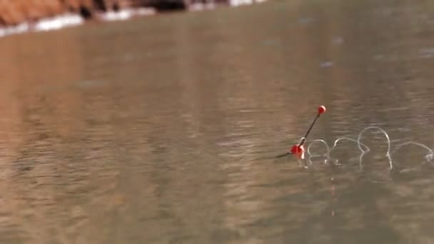 Float ψάρεμα που επιπλέει στο νερό — Αρχείο Βίντεο