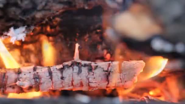 Het verbranden van hout. achtergrond van brand — Stockvideo