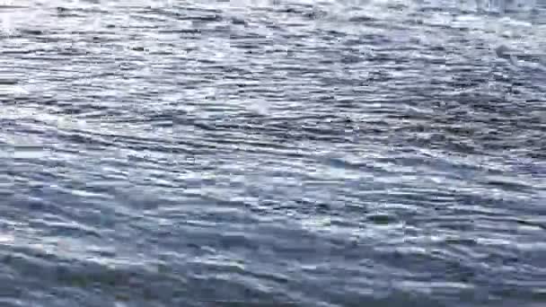 L'eau dans la rivière — Video