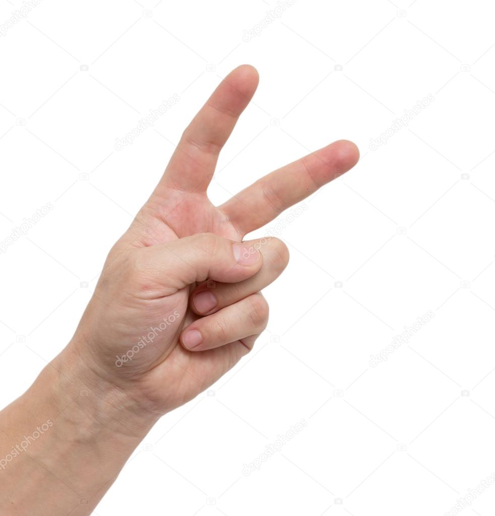 schankz