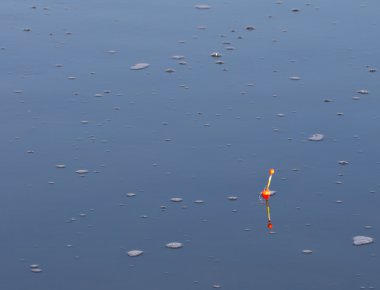 Fotoğraf..
