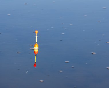 Fotoğraf..