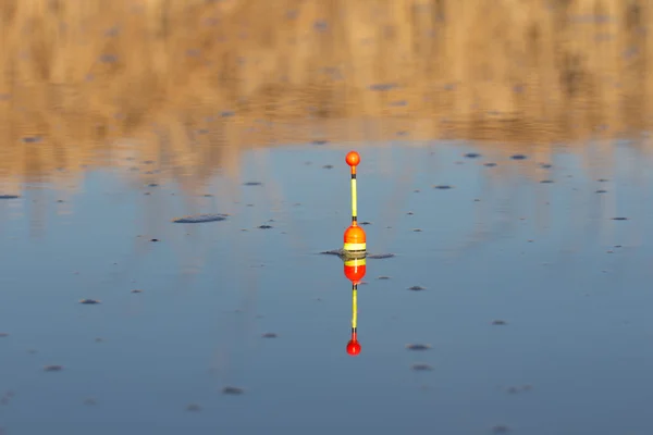 写真. — ストック写真