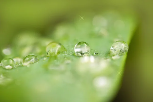 Fotos. — Stockfoto