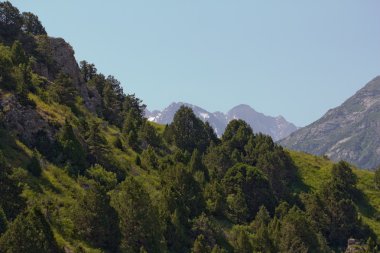 fotoğraf.
