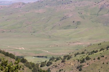 fotoğraf.