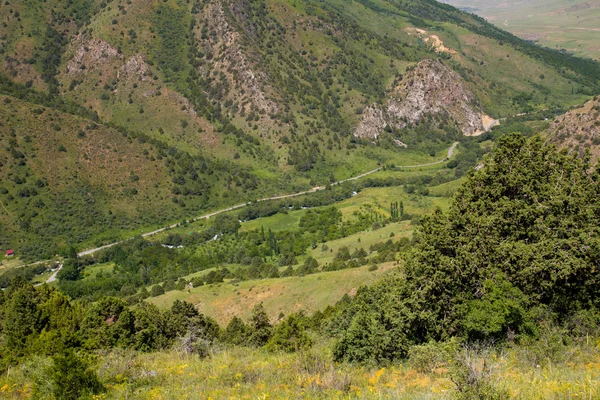 fotoğraf.
