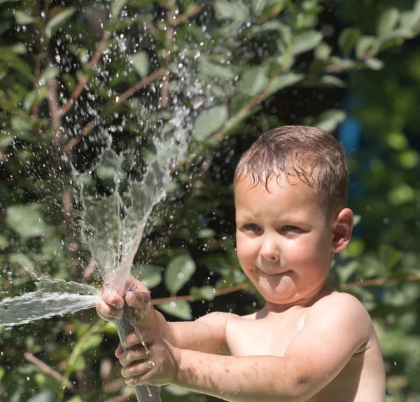 Bilder. — Stockfoto