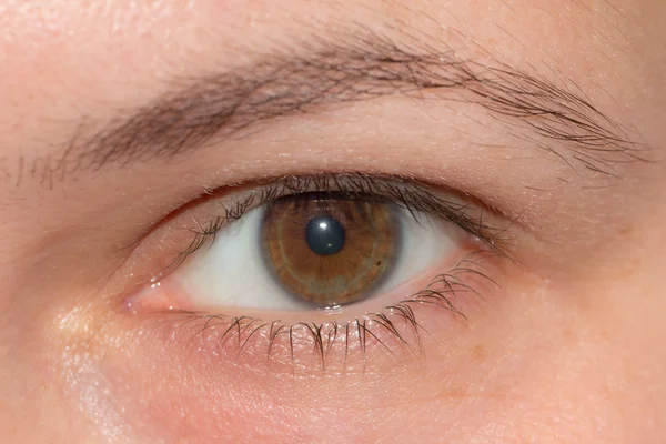 Gros plan sur les yeux féminins — Photo