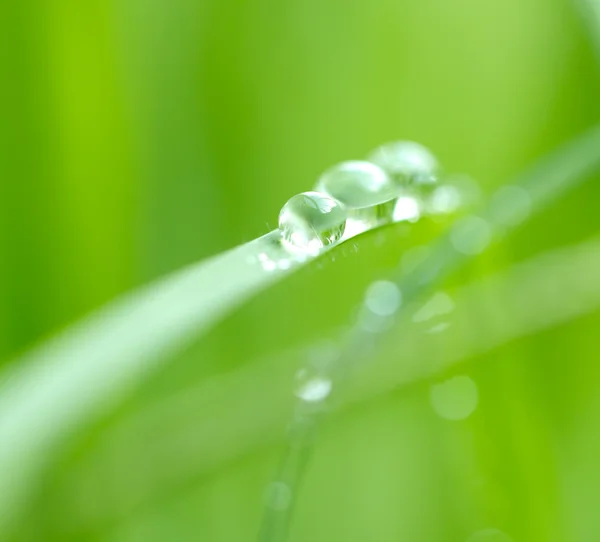 Fotos. — Stockfoto