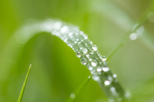 Achtergrond — Stockfoto