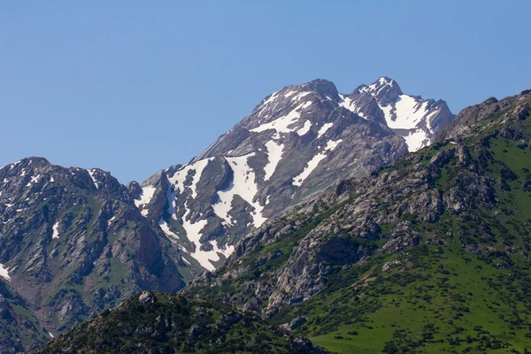 Arkaplan — Stok fotoğraf