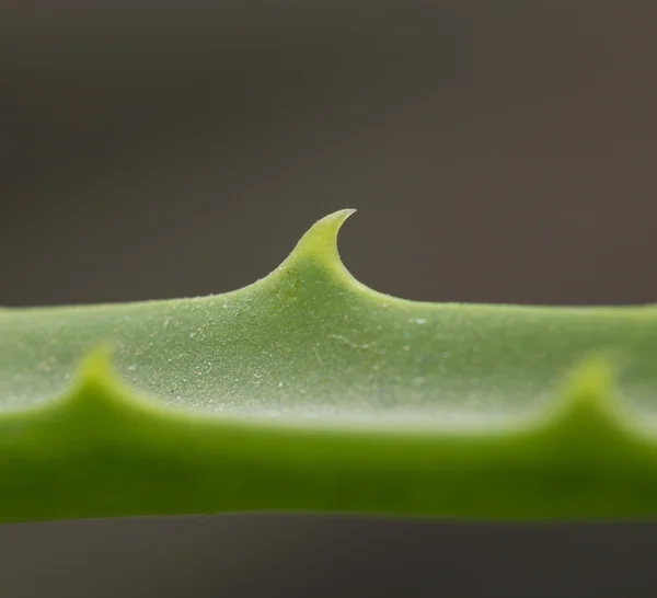 Background — Stock Photo, Image