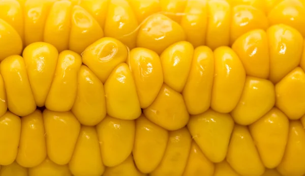 Corn — Stock Photo, Image