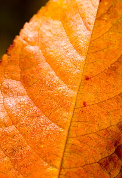 배경 — 스톡 사진