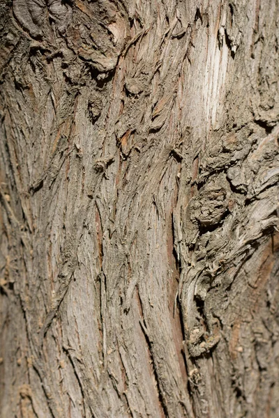 Hintergrund — Stockfoto