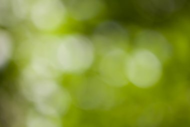 arka plan bokeh. doku