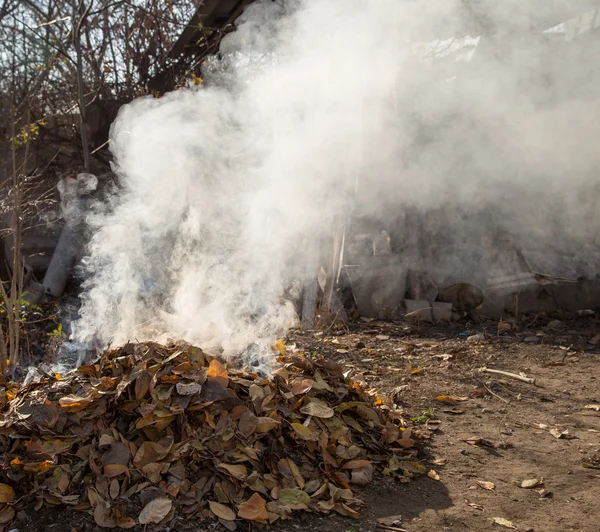 Smoke from burning leaves — Stock Photo, Image