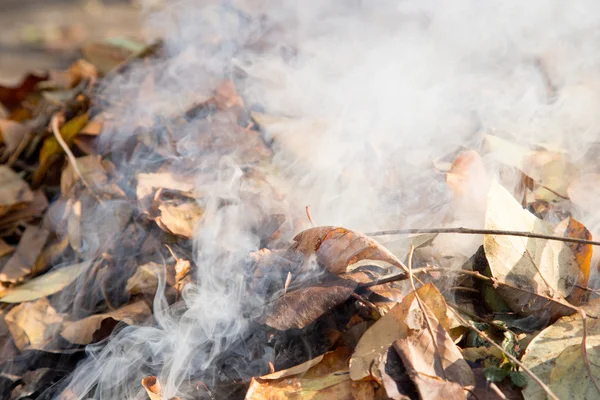 Kouř z hořící listy — Stock fotografie