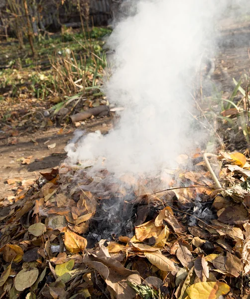 Humo de las hojas ardientes —  Fotos de Stock