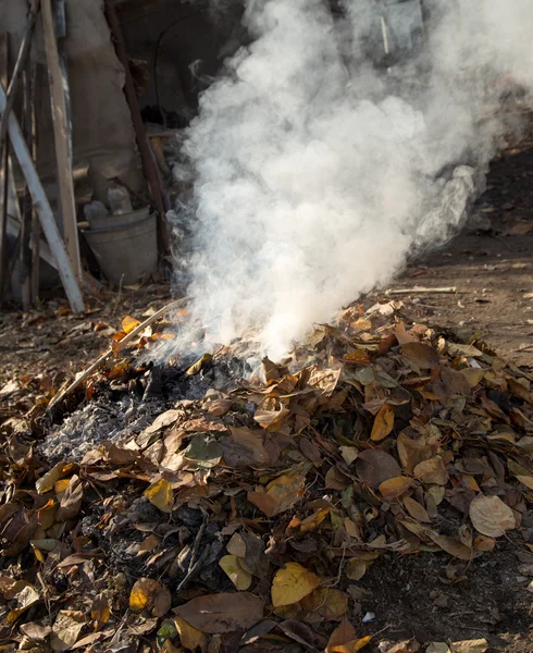 Smoke from burning leaves — Stock Photo, Image