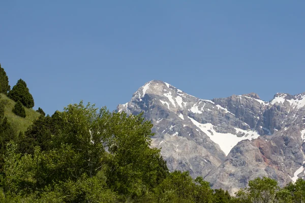 Achtergrond — Stockfoto