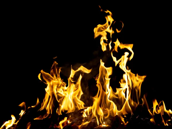 Abstract background. fire flames on a black background — Stock Photo, Image